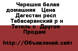 Черешня белая домашняя › Цена ­ 40 - Дагестан респ., Табасаранский р-н, Татиль с. Другое » Продам   